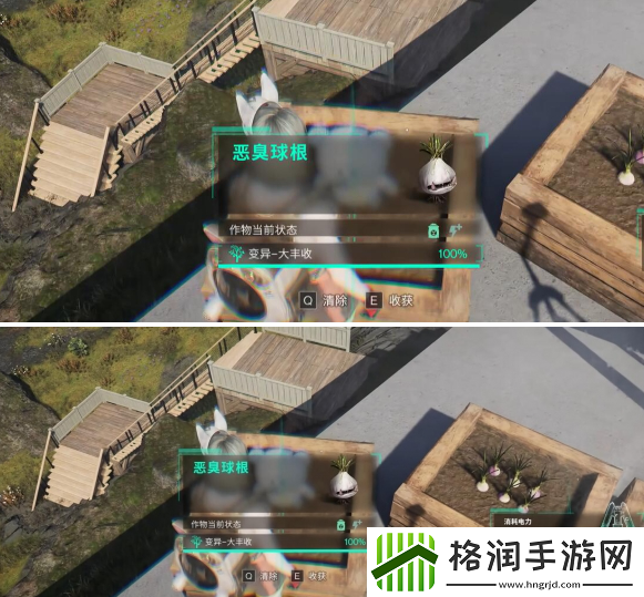 七日世界恶臭球根怎么获得