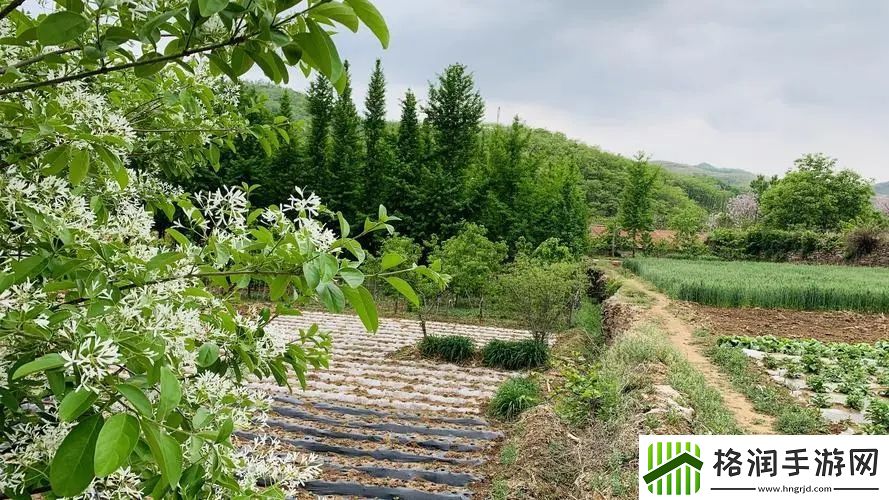 10款成品短视频app下载安装