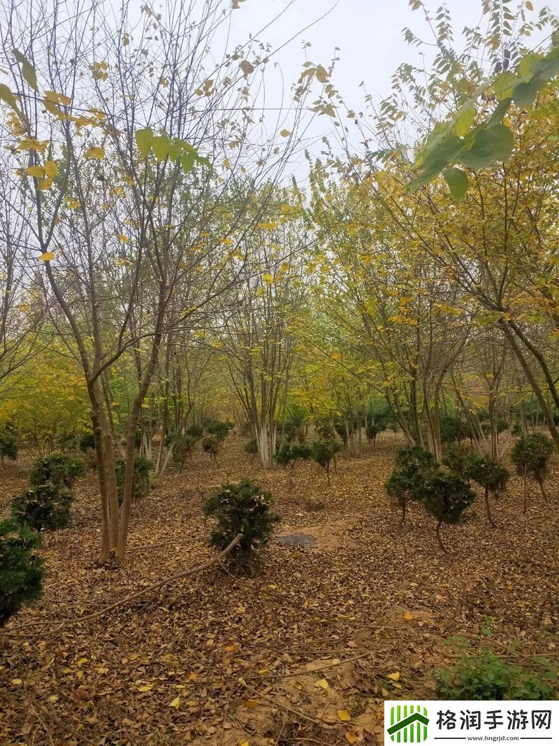 小烧货几天没弄了这么多水了