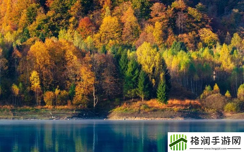 三年片免费观看大全第四集