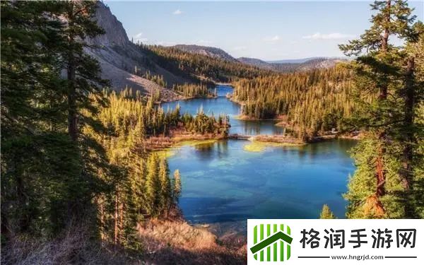 今天高清视频在线观看