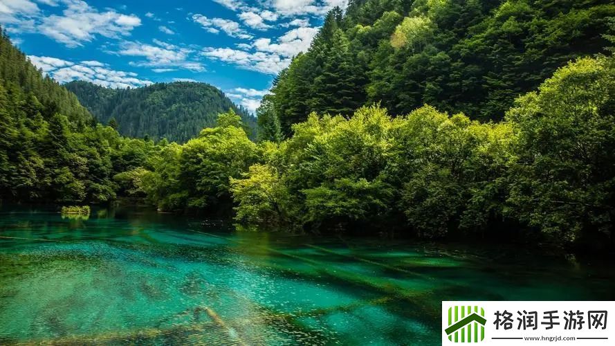 厨房一次又一次的索要刷碗总图片