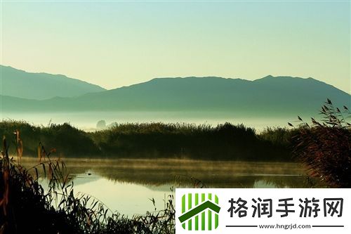 二人世界拔萝卜生猴子