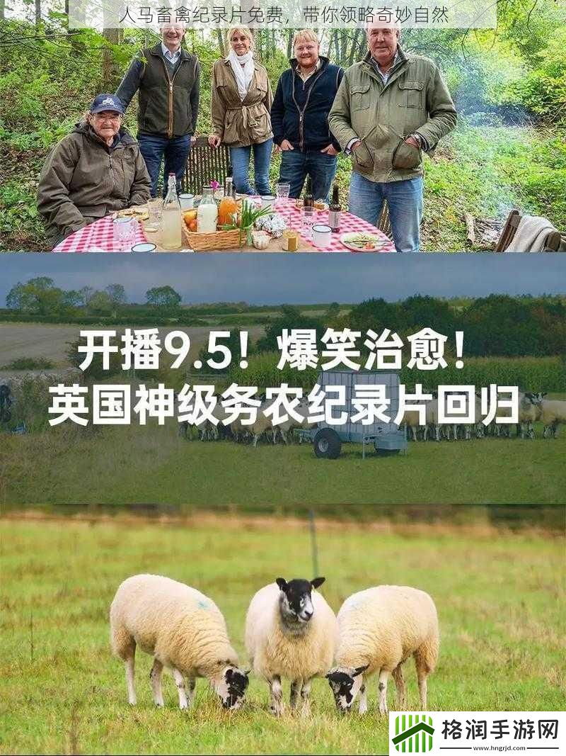 人马畜禽纪录片免费