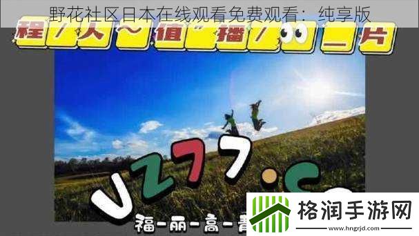 野花社区日本在线观看免费观看