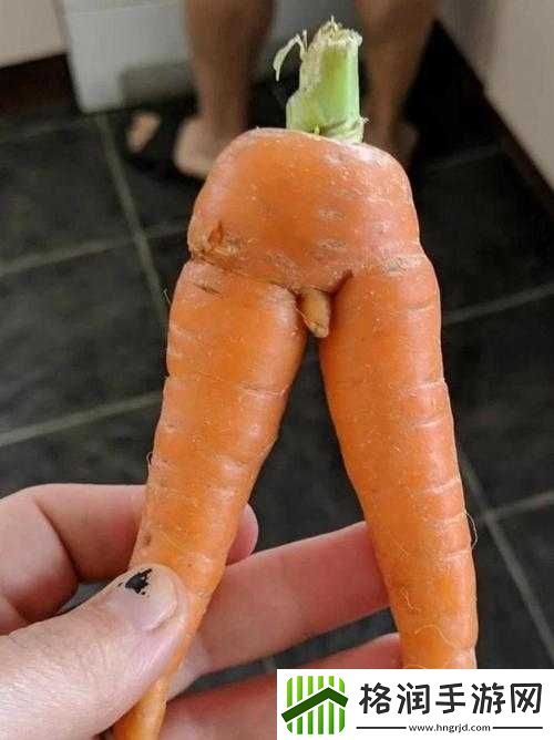 女孩子为何爱吃男生的胡萝卜
