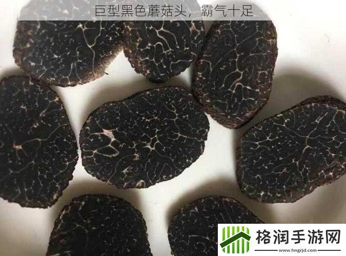 巨型黑色蘑菇头