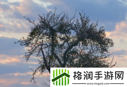 双手攀上两团少女峰