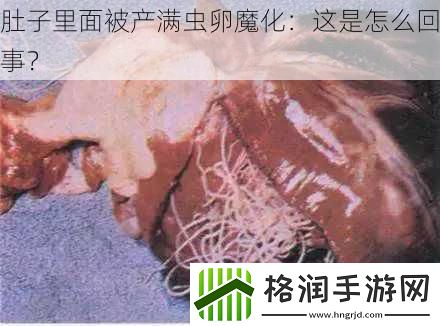 肚子里面被产满虫卵魔化