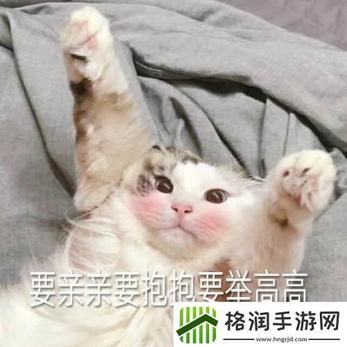 举高高的原声免费