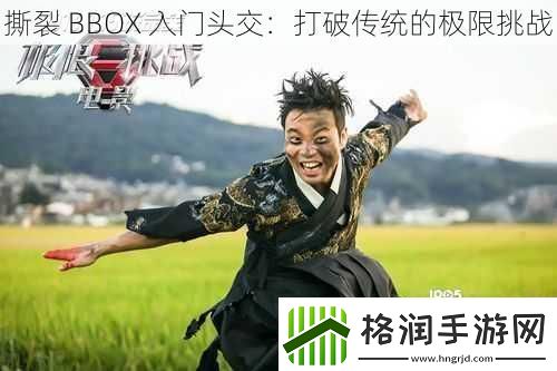 撕裂BBOX入门头交