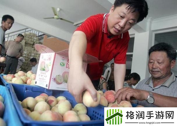 水蜜桃和水蜜桃V2