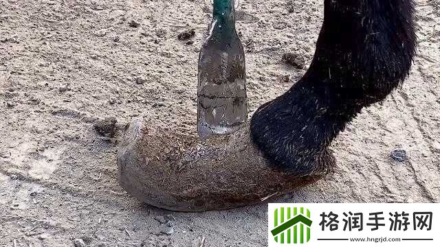 棒槌傻大长着驴一样的东西真奇葩