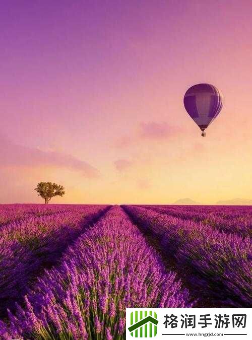 薰衣草研究所入口隐藏