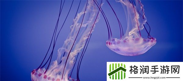 爱丫爱丫在线影院电视剧免费