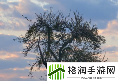 双手攀上两团少女峰