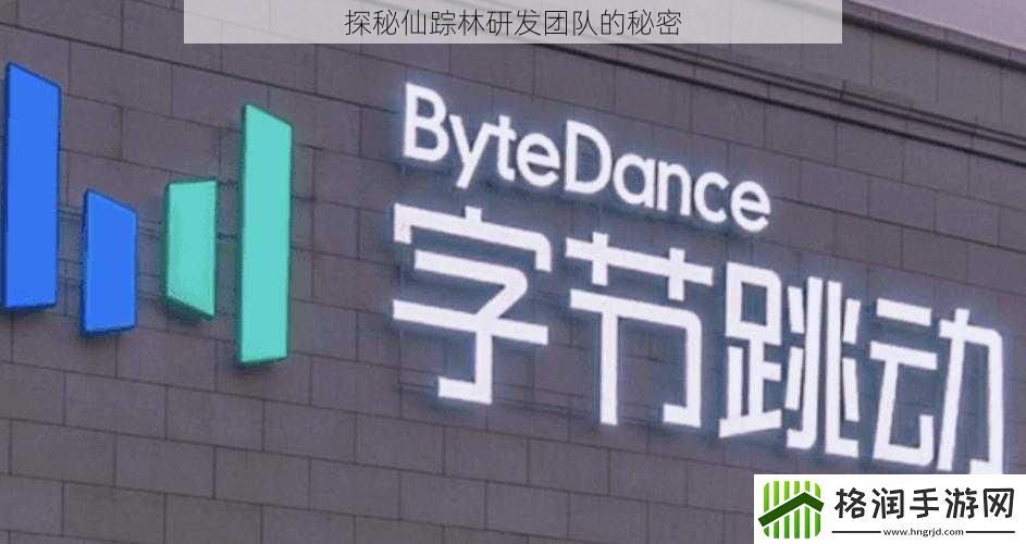 探秘仙踪林研发团队的秘密