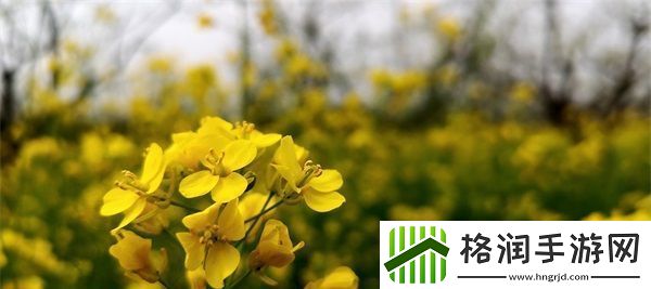 一个下面添一个上面是什么字