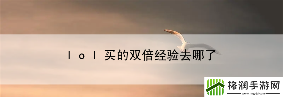 lol买的双倍经验去哪了