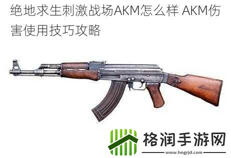 绝地求生刺激战场AKM怎么样