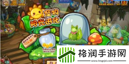 洛克王国魔力猫怎么超进化