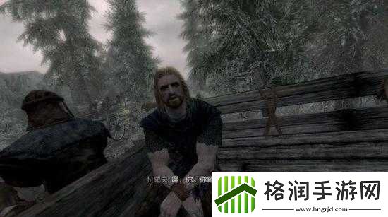 上古卷轴5游戏无声效无法下马车问题解决