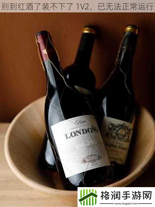 别到红酒了装不下了
