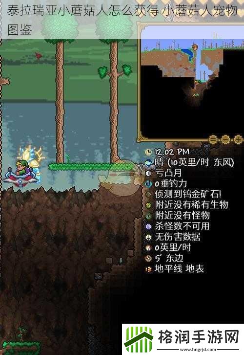 泰拉瑞亚小蘑菇人怎么获得
