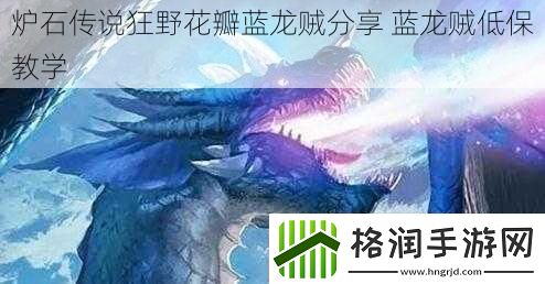 炉石传说狂野花瓣蓝龙贼分享