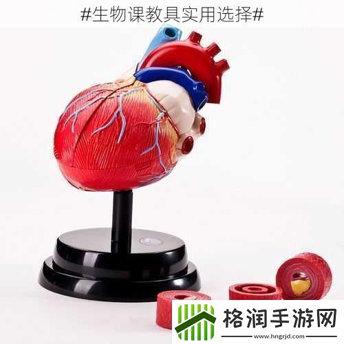 #生物课教具实用选择#