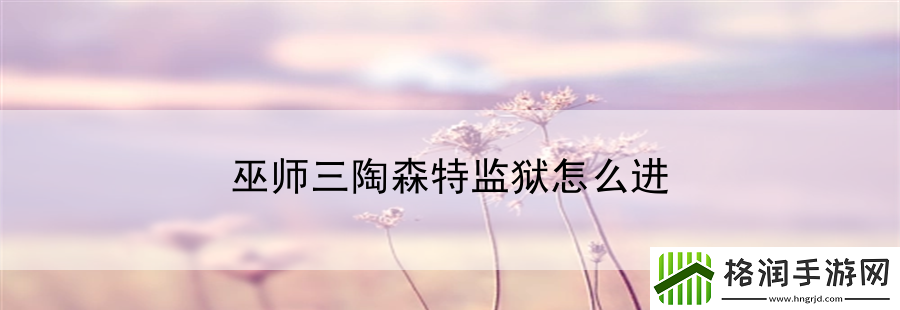 巫师三陶森特**怎么进