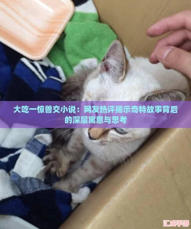 大吃一惊**小说