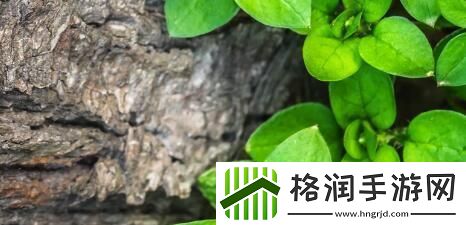 积积积桶积积的桶直接看