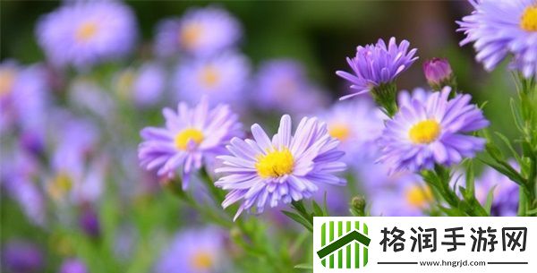 张雨琦人文艺术欣赏PPT制作技巧