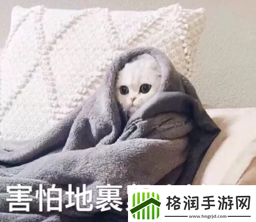 高能不断恐怖片也就绝对演绎里演技好的她敢接！