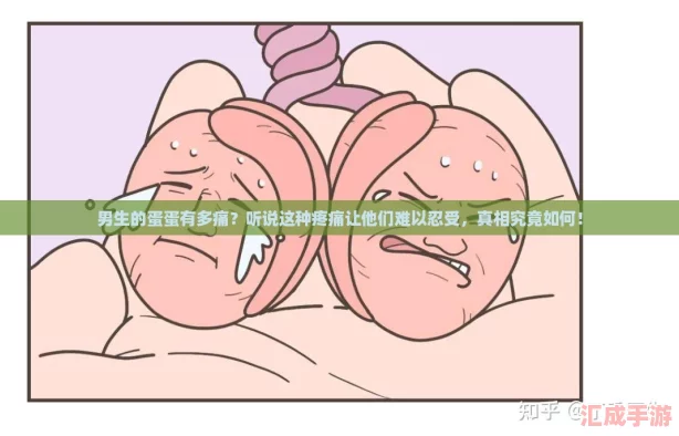 男生的蛋蛋有多痛