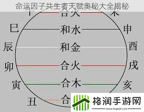 命运因子共生者天赋奥秘大全揭秘