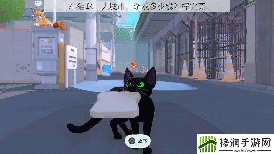 小猫咪