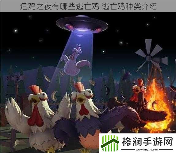 危鸡之夜有哪些逃亡鸡