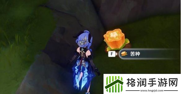 原神5.0苦种怎么采集
