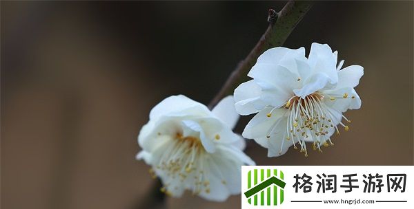 欧洲尺码日本尺码专线不卡顿