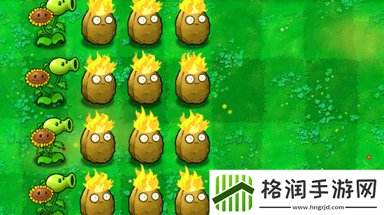 pvz杂交版火炬坚果有什么用