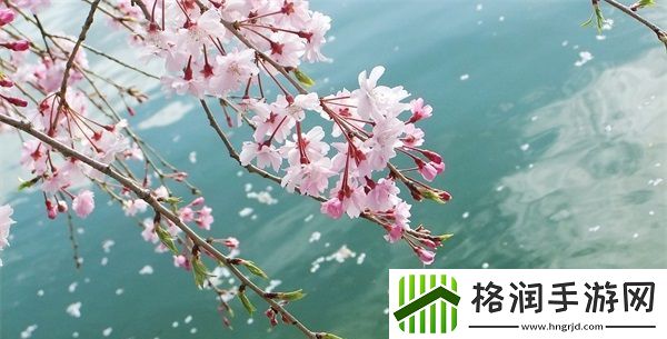 ysl千人千色T9功能详解