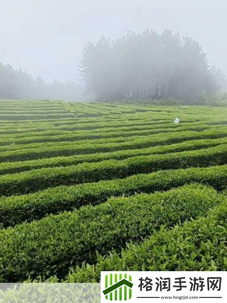 独家揭秘乙女堂BL力作Blood