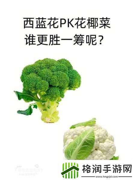 健身人士钟爱的花椰菜蚂蚁新村