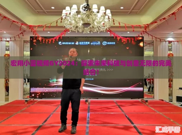 宏翔小蓝视频GY2024