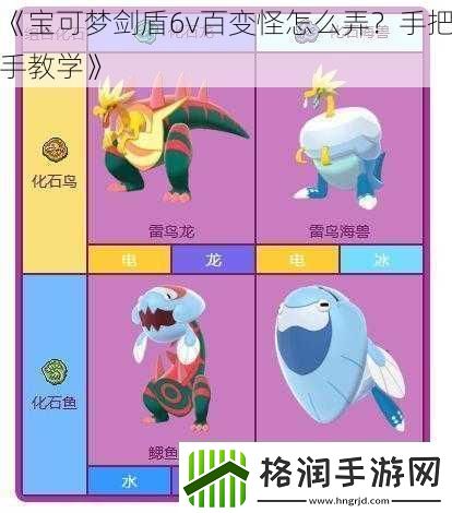 宝可梦剑盾6v百变怪怎么弄手把手教学