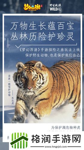 梦幻西游手游携手WildAid打造野生动物保护新玩法