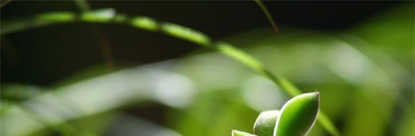 满18点此转入2O2