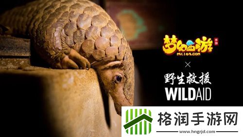梦幻西游手游携手WildAid打造野生动物保护新玩法